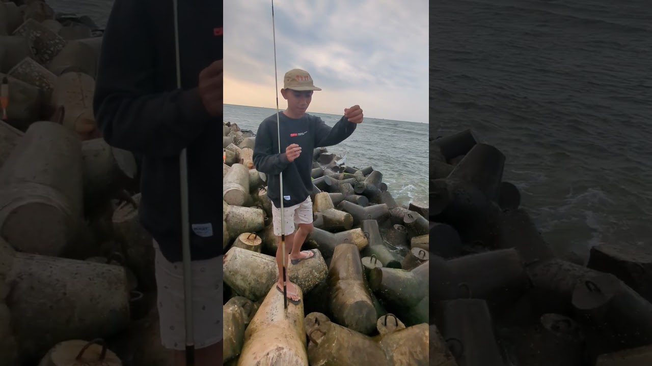 #mancing #mancingmania #fishing