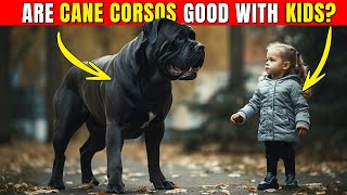 Are Cane Corsos Good With Kids?