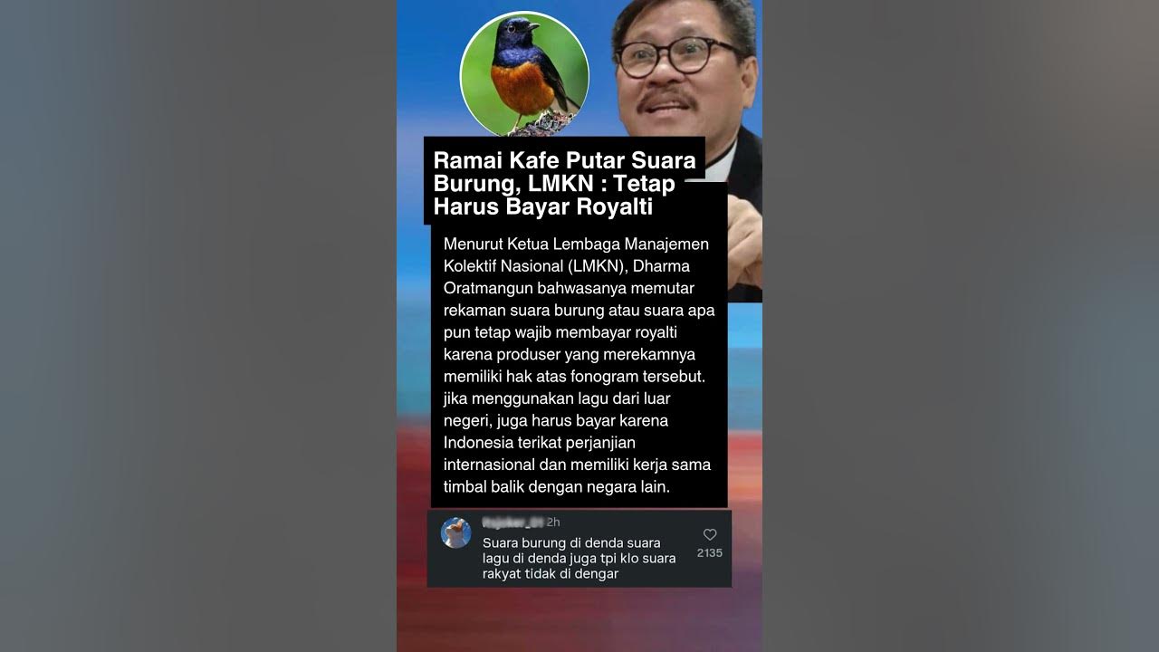 Putar Suara Burung Di Kafe Tetap Bayar Royalti
