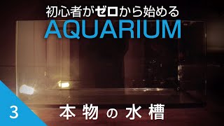 初心者がゼロから始めるアクアリウム【3】本物の水槽を準備する〜カッティングシート貼り