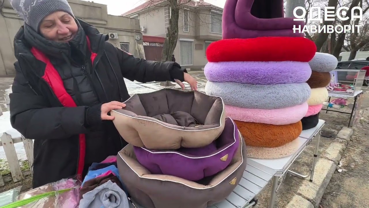 ОДЕЖДА для ДОМАШНИХ ЖИВОТНЫХ! Уход и КОМФОРТ! 