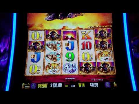 I Put $100 On Slot Machine & Here is what happened - max bet