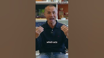 What are Bills of Lading??? | Logistics Tips