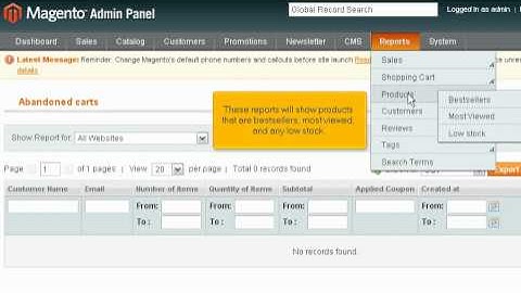 Viewing reports in Magento