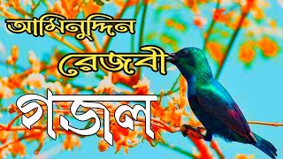 আমিনুদ্দিন রেজবী হৃদয় জুড়ানো ।।  ইসলামিক গজল ।। BANGLA AMINUDDIN RIZVI ISLAMIC GAZAL