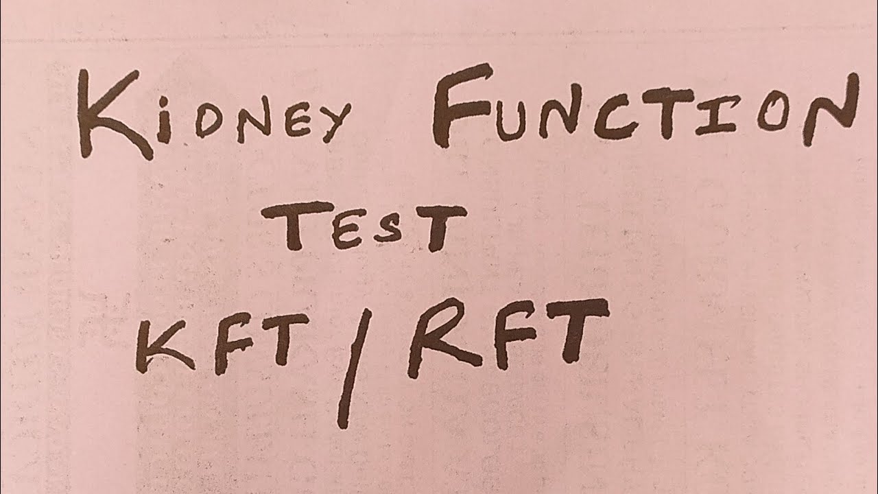 Kidney Function Test KFT YouTube
