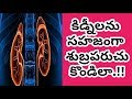 కిడ్నీలను సహజంగా శుబ్రపరుచుకొండిలా.!! || Clean your Kidneys in Just 10 M...