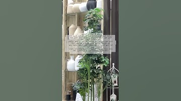 Surah Al-Mulk (سورة الملك), the 67th chapter of the Holy Quran, is as follows: #quran #surah #mulk