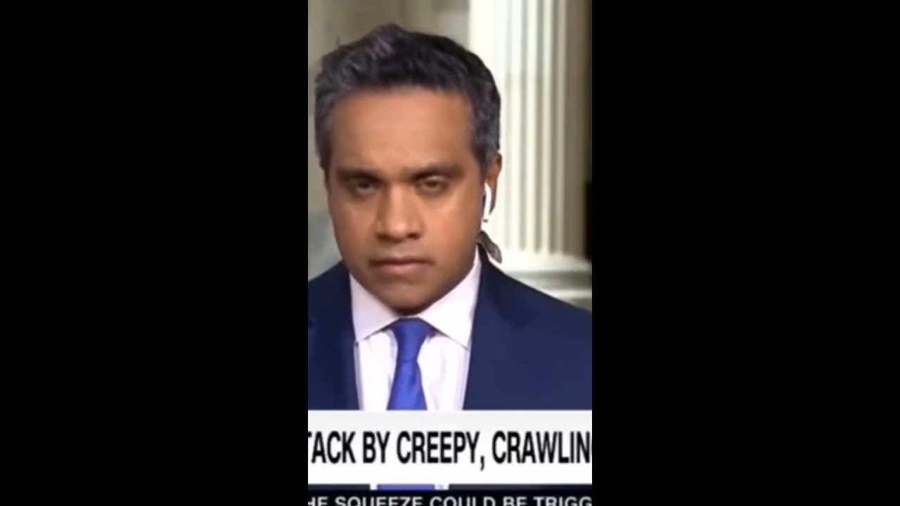 Bug Attacks CNN Reporter 