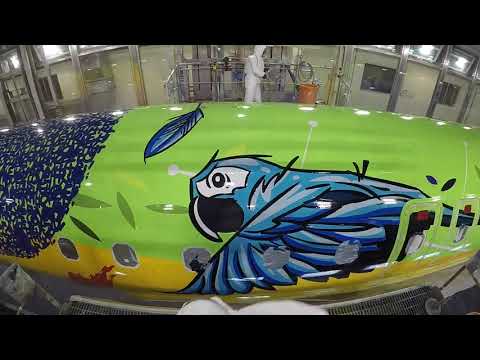 Ararinha Azul: a aeronave mais colorida do Brasil!