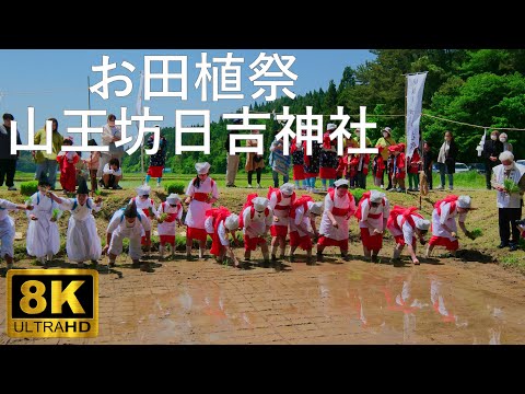 【山王坊日吉神社】お田植祭 五穀豊穣を祈る津軽豊年祭【青森県五所川原市】8K