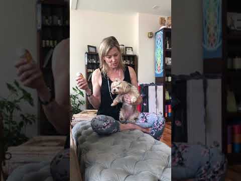 How To Use Neem Oil For Ticks