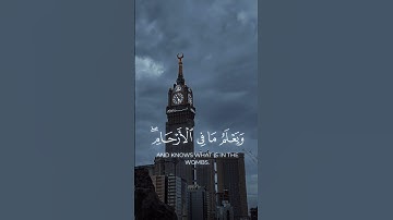 سورة {لقمان} ياسر الدوسري #قران_كريم #اجر #ياسر_الدوسري #القيامه #قران #quran #الله #مكه #لقمان