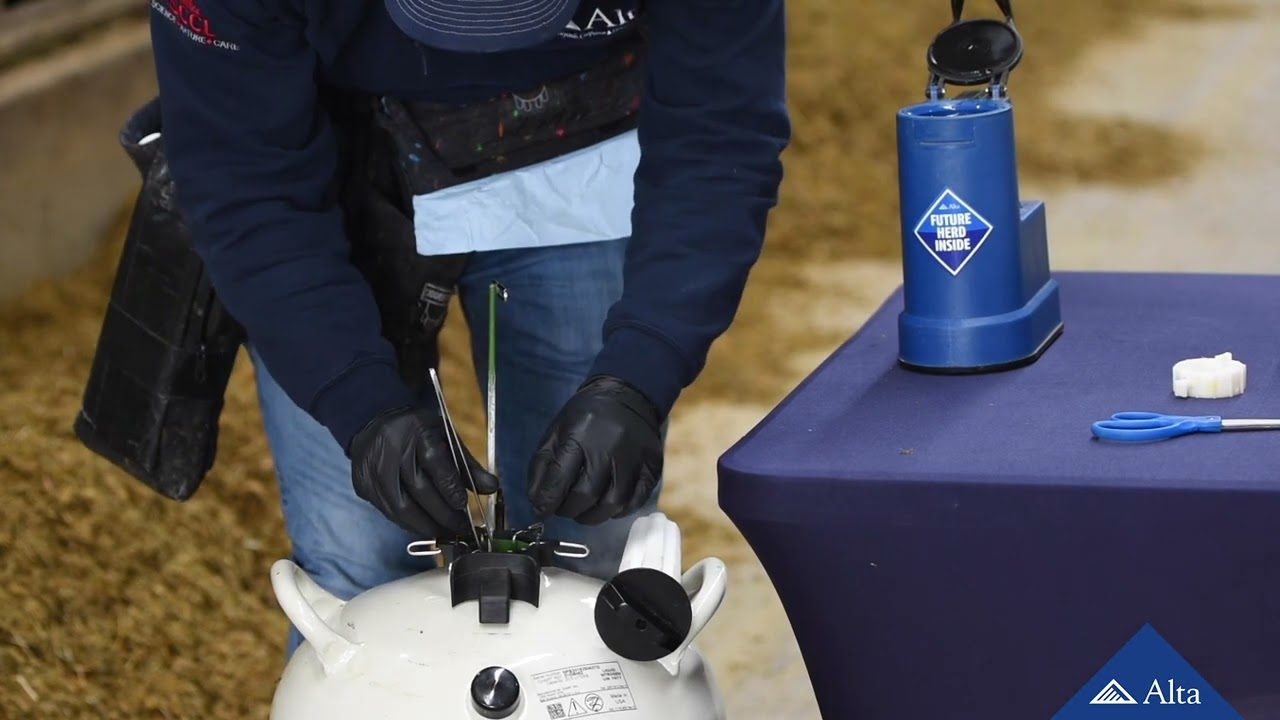 2 cómo manejar el semen y el equipo de ia 1080p