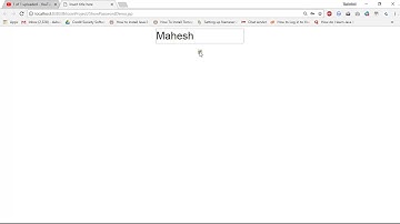 ShowHide Password When Checkbox in Checked using JavaScript
