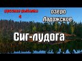 Русская рыбалка 4(рр4/rf4) - озеро Ладожское. Сиг-лудога #2.