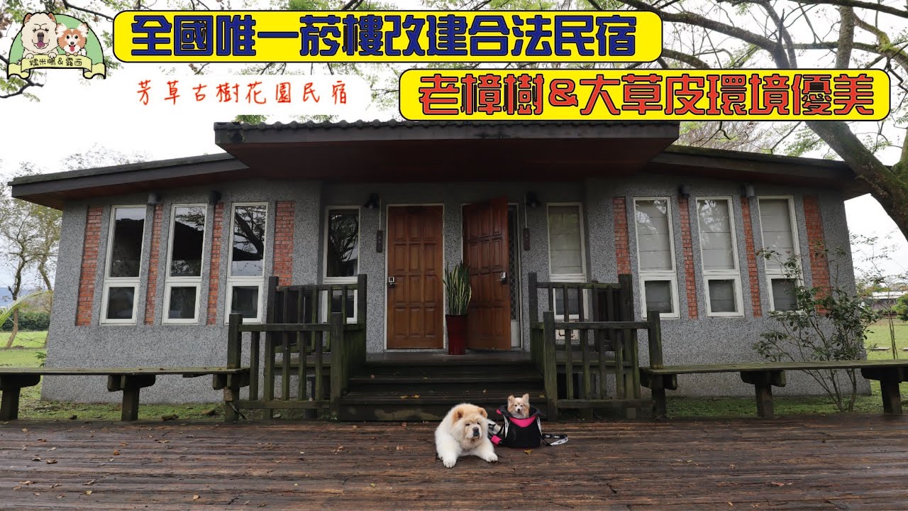 【寵物民宿】全國唯一寵物友善合法菸樓民宿 200多年老樟樹環境超好 古典美的房間-芳草古樹花園民宿
