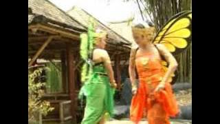 Tari Kupu kupu Jawa Barat