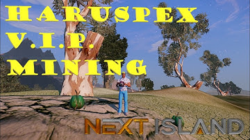 Haruspex VIP Mining - Next Island