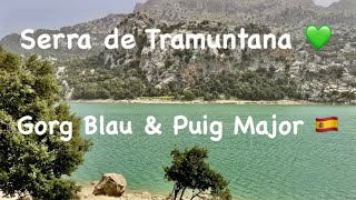 Puig Major 💚 Gorg Blau 💙 Cuber Stauseen 💚 Serra de Tramuntana 💚 Mallorca 🇪🇸 MA-10 🚘 15° ⛅️