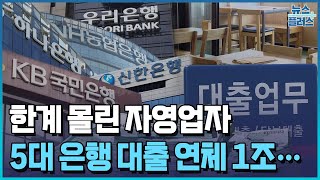 5대 은행 자영업자 대출 연체 1조 돌파/한국경제TV뉴스