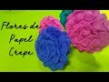 Flores de Papel Crepe