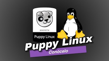 ¿La mejor distro ligera? 🐾 Descubre Puppy Linux en 2025 y lo que PUEDE hacer