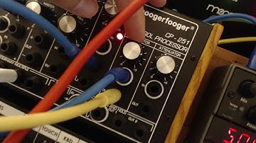 MF104z and MF108m in each others feedback paths