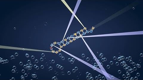 Gaming in the Name of Science