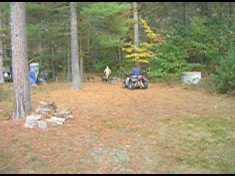 Fall Festival MUSHING @ OXFORD MAINE