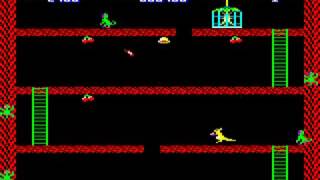 Wallaby ~ BBC Micro