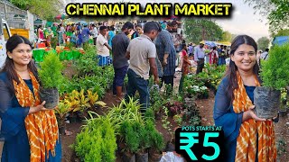 ரு5 முதல்..  Best and Cheapest Nursery MARKET  /in door &out door planets