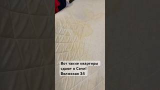 Зассаные квартиры в Сочи #сочи #сочисегодня #сочиснимуквартиру #сочиквартира