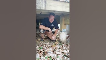 Now This is a Proper Deck Support Post