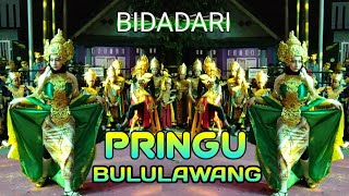 Karnaval Pringu Bululawang 2024 Bersama Brewog 