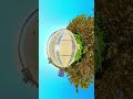 Exploring Chitgar Lake | Tehran’s Hidden Gem! #vrexperience #vr #360video #travel