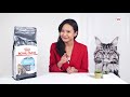 Royal canin urinary care