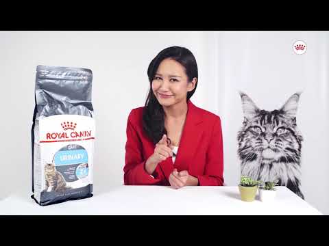 Royal Canin Urinary Care