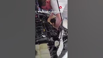 8-foot-long snake discovered under car bonnet #shorts