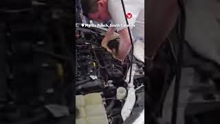 Famous 8-foot-long snake discovered under car bonnet #shorts Profile