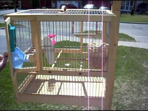 custom built bird cages