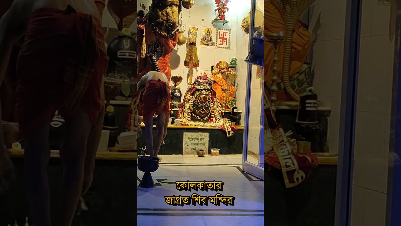 Jai ho Mahakal | Shiv Arti | অভিষেক শিব মন্দিরের পুজো 