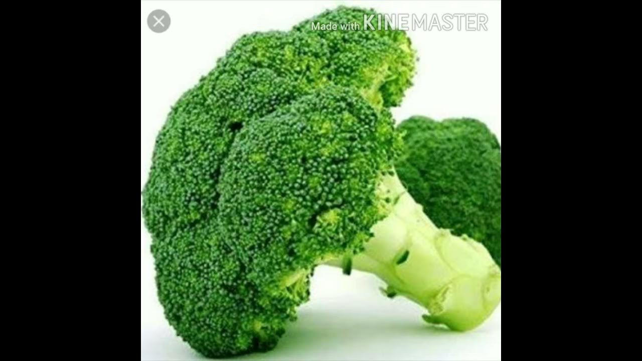 Broccoli use and benefits in Tamil Delivered by Krithikesh YouTube