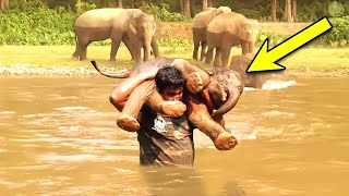 泥沼にはまった子ゾウを救う男性。危険をかえりみずに救助した後、母象が衝撃的な行動で応えた【感動】