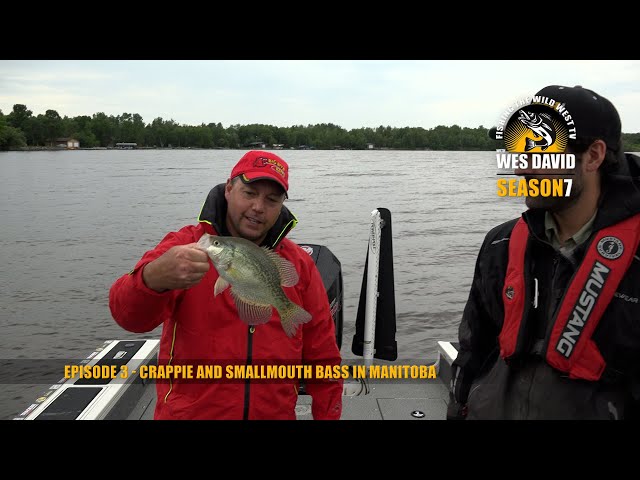 Crappie Fishing Manitoba
