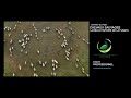 Bande-annonce - Chevaux sauvages - La belle histoire de la Puszta