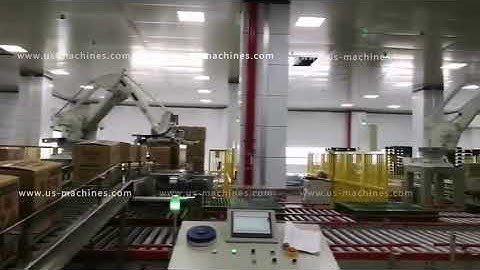 Box case carton robot hand palletizing machine palletizier line palletizing video