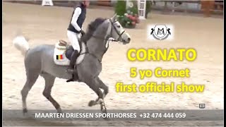 210315 CORNATO 6yo by Cornet first official show