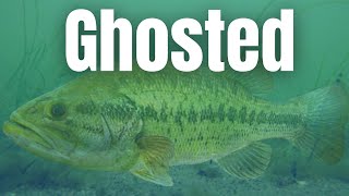 What TO DO When Bass GHOST You (Catch Bass Every Time)