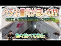 ベタ水槽徹底比較‼あなたはどの水槽がお気に入り⁉ GEX KOTOBUKI NISSO